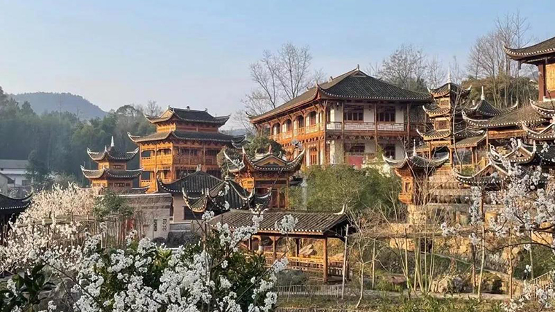 B  詳情圖 (4).jpg